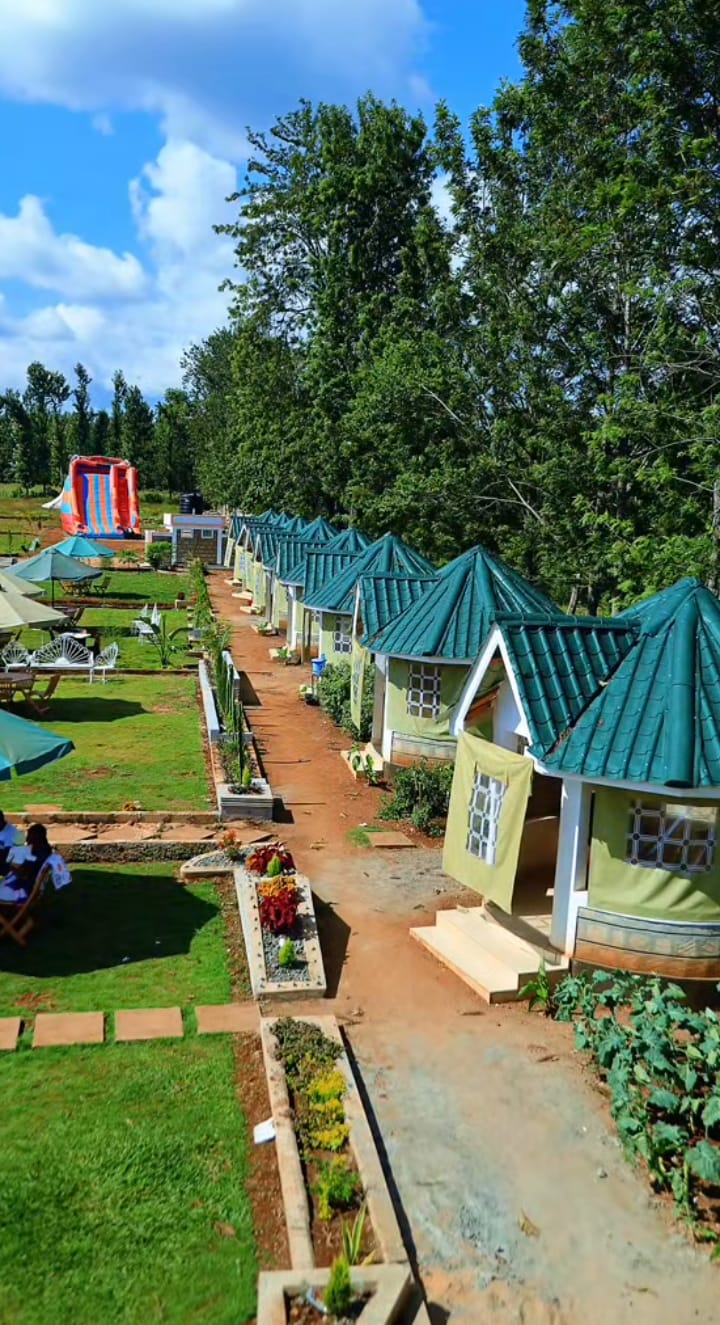 Row of green-roofed private garden cottages