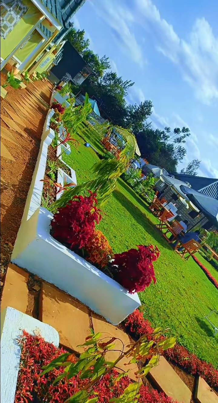 Manicured flower beds with red blooms across the garden